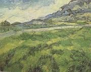 Green Wheat Field (nn04)